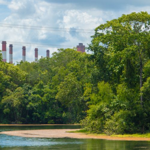 Environment & Forestry Remote Sensing